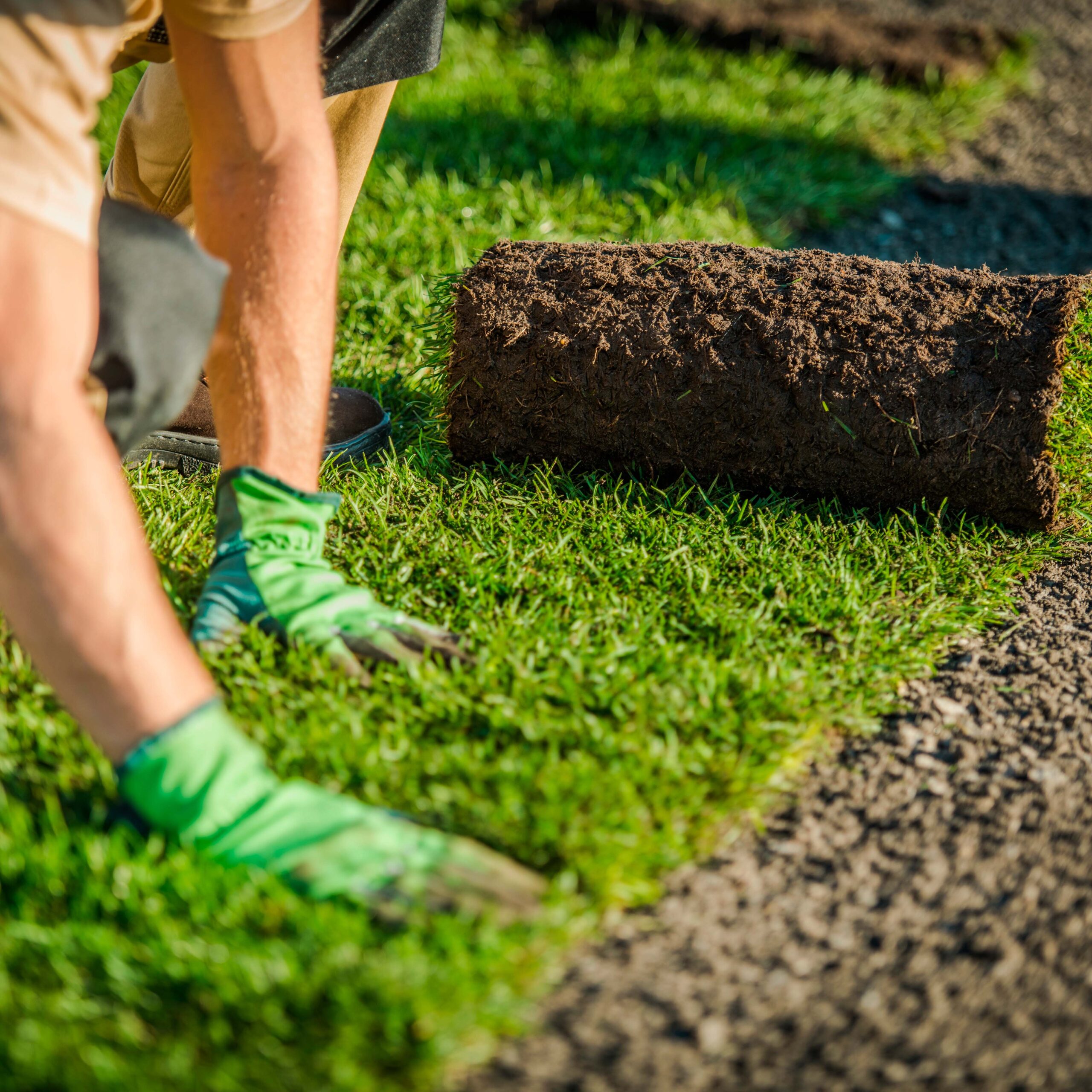 Construccion Zonas Verdes Limpasa